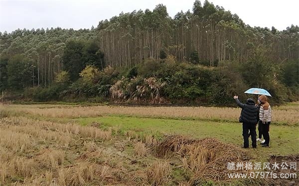 金华市陈老师带着爱徒寻龙点穴